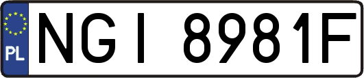 NGI8981F