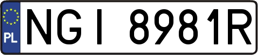 NGI8981R