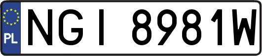 NGI8981W