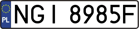 NGI8985F