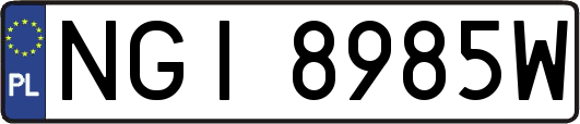 NGI8985W