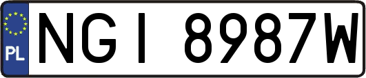 NGI8987W