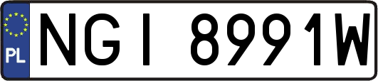 NGI8991W