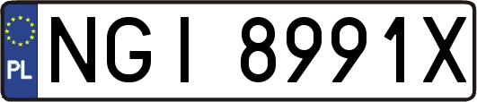 NGI8991X