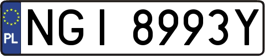 NGI8993Y