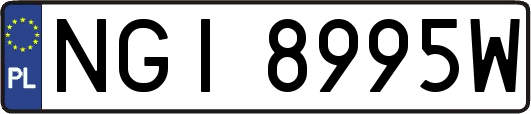 NGI8995W
