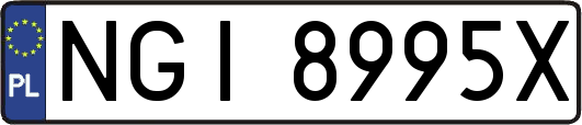NGI8995X