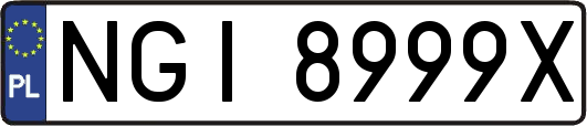 NGI8999X