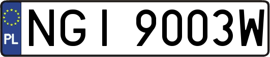 NGI9003W