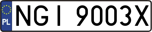 NGI9003X