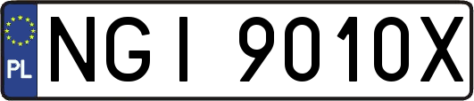 NGI9010X