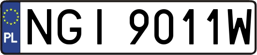 NGI9011W
