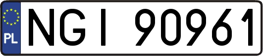 NGI90961