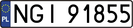 NGI91855