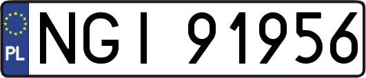 NGI91956