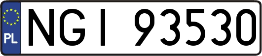 NGI93530