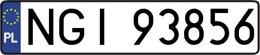 NGI93856