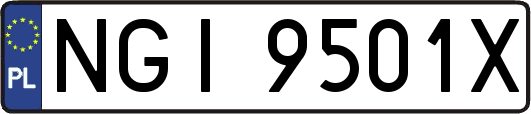 NGI9501X