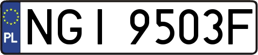 NGI9503F
