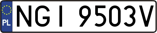 NGI9503V