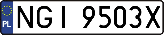 NGI9503X