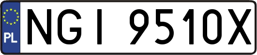 NGI9510X
