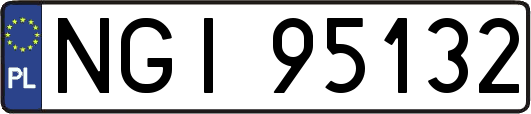 NGI95132