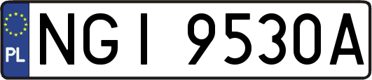 NGI9530A