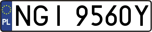 NGI9560Y