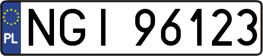 NGI96123