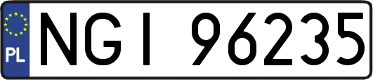 NGI96235