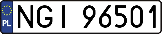 NGI96501