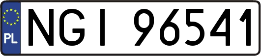 NGI96541