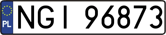 NGI96873