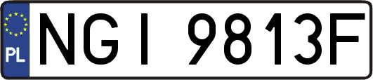 NGI9813F