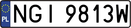 NGI9813W