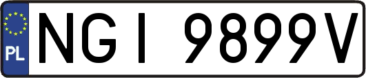 NGI9899V