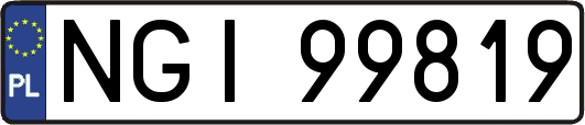 NGI99819