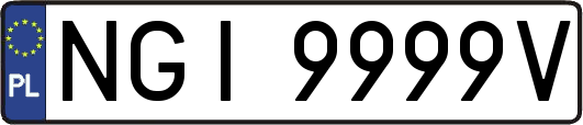 NGI9999V