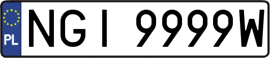 NGI9999W