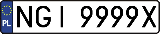 NGI9999X