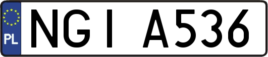 NGIA536