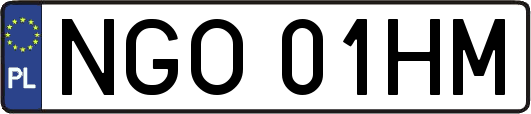 NGO01HM