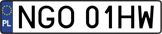 NGO01HW