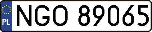 NGO89065