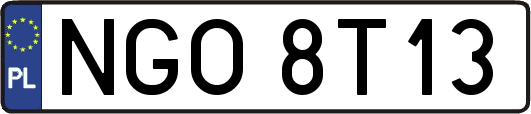 NGO8T13