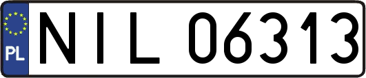 NIL06313