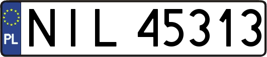 NIL45313
