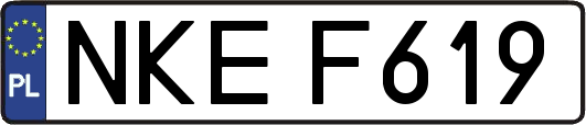 NKEF619
