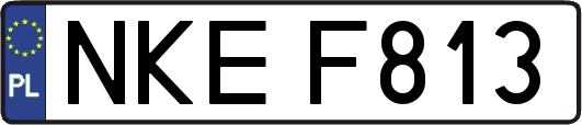 NKEF813